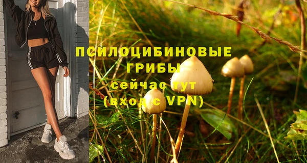 сатива Балабаново