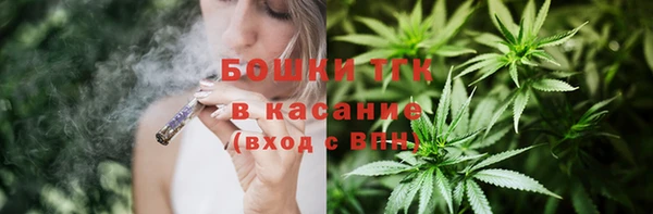 ГАЛЛЮЦИНОГЕННЫЕ ГРИБЫ Балахна