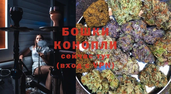 сатива Балабаново