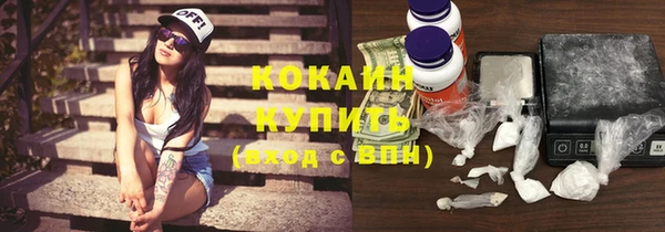ГАЛЛЮЦИНОГЕННЫЕ ГРИБЫ Балахна