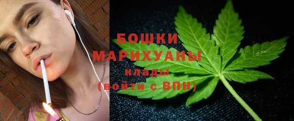 ГАЛЛЮЦИНОГЕННЫЕ ГРИБЫ Балахна