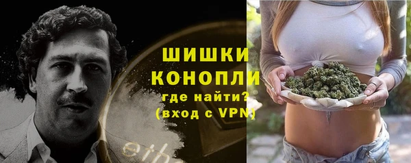 ГАЛЛЮЦИНОГЕННЫЕ ГРИБЫ Балахна