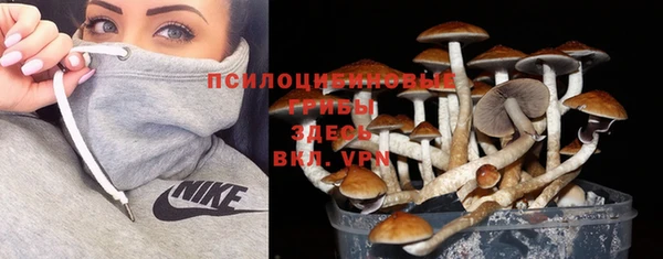 ГАЛЛЮЦИНОГЕННЫЕ ГРИБЫ Балахна