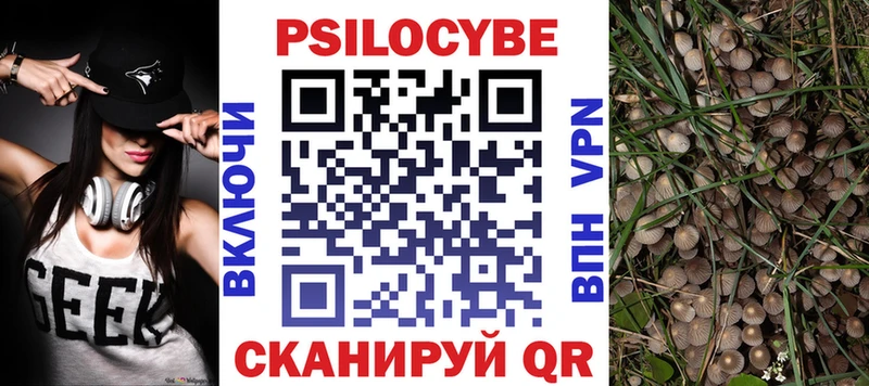 Псилоцибиновые грибы GOLDEN TEACHER  купить наркотики цена  ссылка на мегу зеркало  Белозерск 