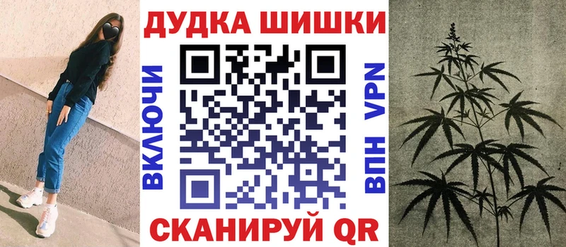 Конопля гибрид  Белозерск 